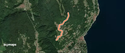 OSM Route 8831466