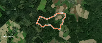 Rundwanderweg Rehkopf