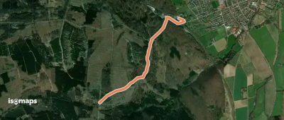 Zugangsweg Hermannshöhen - Willebadessen