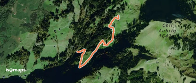 Chrummflüeli - Bärlaui