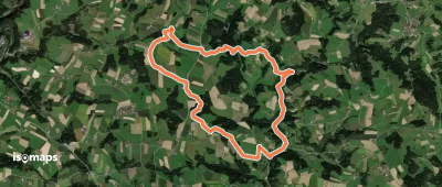 Großer Hopfensteig