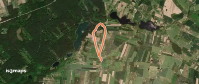 Żółty nordic walking Lekarty