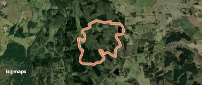 Rød rute