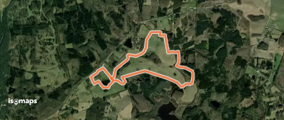 Pink rute