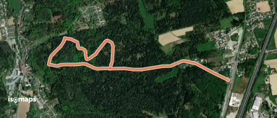 Waldweg der Lebensfreude