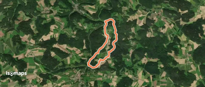 Gelbpunkt