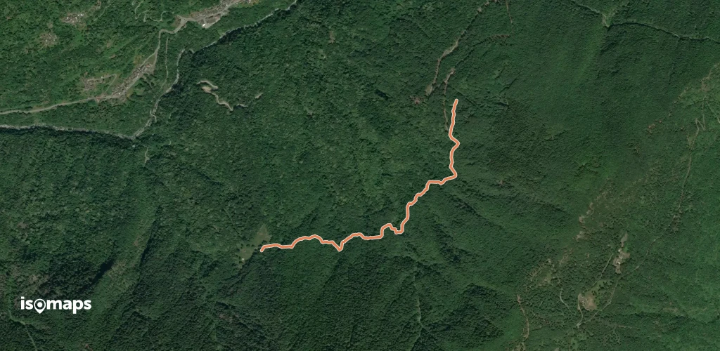C05b - Alpe Cascinanova - Alpe Zii