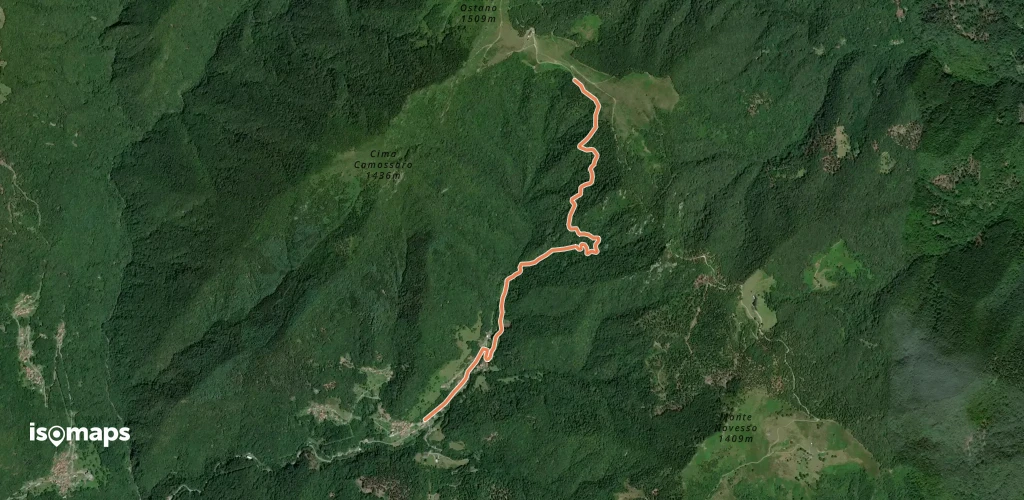 OSM Route 8911046