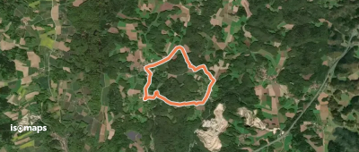Simmelsdorfer Rundwanderweg Rot 8
