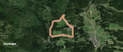 Waldschaf · Šumavská ovce