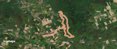 Rundwanderweg Wildschwein Pfarrweissach