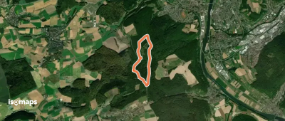 Rundwanderweg Bickeldorn 5: Brückleswald-Weg