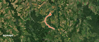 Grüner Punkt