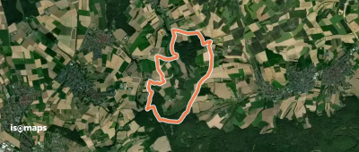 Rundwanderweg Groß-Umstadt Binselberg 3: