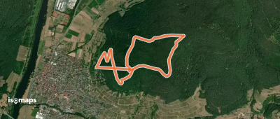 Rundwanderweg Bürgstadt Stutz 3: Ringwall-Weg