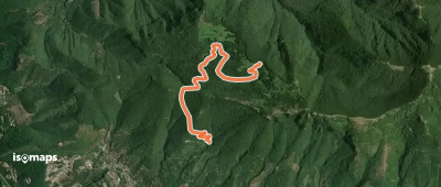 OSM Route 9117070