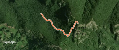 OSM Route 9117541