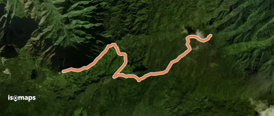 Puʻu O Kila to Alakaʻi Swamp