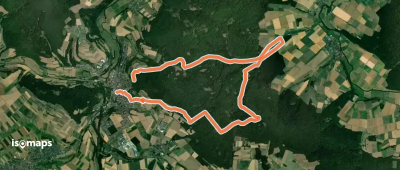 unknown - brown_oak_leaf