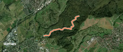 Querweg - Mössingen - Weg-10 - Abzweigung von weg 9 - Dicke Eiche - bis zum blauen Dreieck