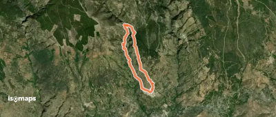Sendero del Castaño Milenario