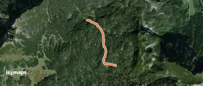Reiteralm, rot-weiß markierte Pfadspur