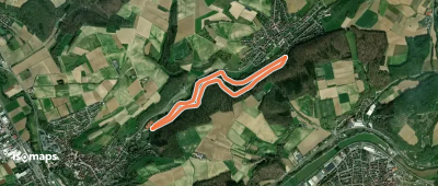 Rundwanderweg Meckesheim Buchwald 5: Buchwald-Weg