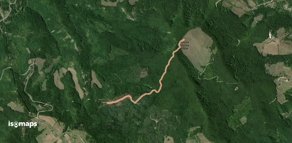 OSM Route 9361954