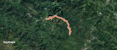 Urkaregiko bidezidorra