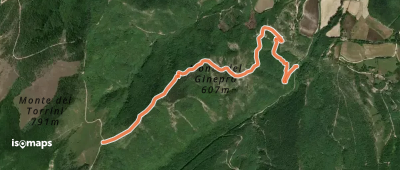 OSM Route 9406348