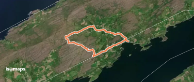 Barán Loop