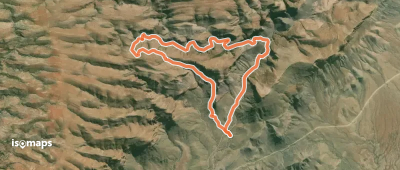 Olive Trail