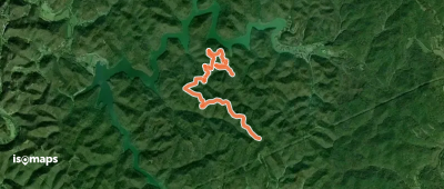 Rubens Branch