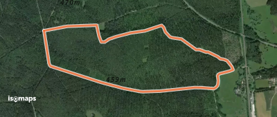 Veldensteiner Forst - Rundweg Rothirsch