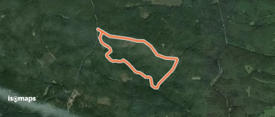 Veldensteiner Forst - Rundweg Auerhahn