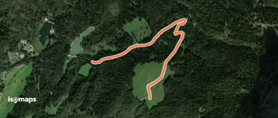 OSM Route 9502445