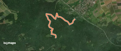 Nordic-Walking-Strecke Birkensumpf