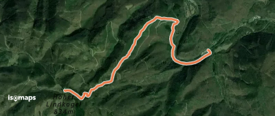 Haltestelle Cholerakapelle - Hoher Lindkogel