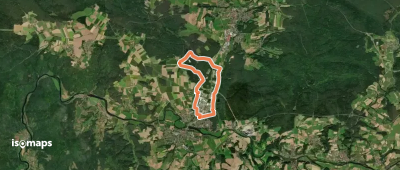 Wilder Mann 008, Naturpark Vorderer Bayerischer Wald