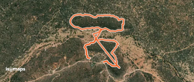 History Path