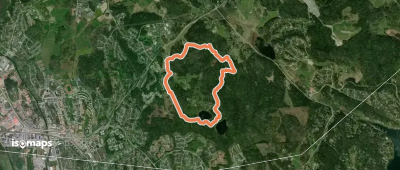 Skogsslingan