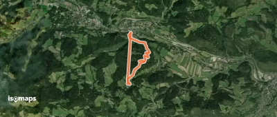 Payerbach - Steinhöfler