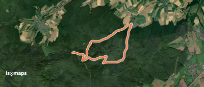 Gieseler Forst Süd 4