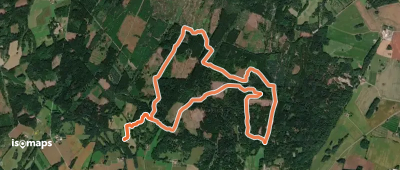 Blå rute