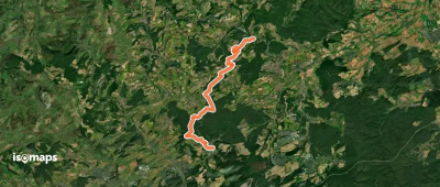 Pfälzerwald Grüner Punkt