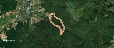 Spessartspuren - Wildromantische Hirschbornteiche