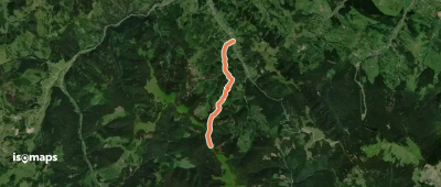 DJ 175B Transrarău - lângă Vf. Zmârzii - traseul 6 PA