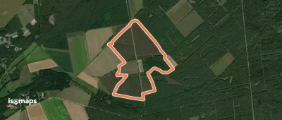 Südheide 'Wacholderwald in der Teufelsheide' W1k (kurze Tour)