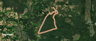 Südheide 'Wo der Wald mit der Heide kuselt' W2l (lange Tour)