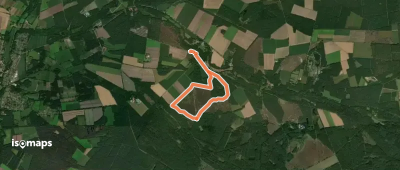 Südheide 'Wo der Wald mit der Heide kuselt' W2k (kurze Tour)